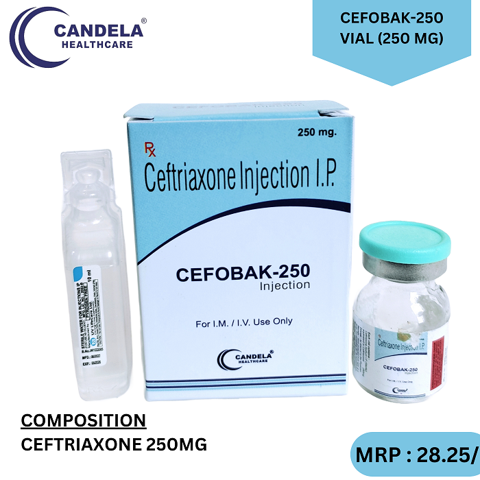 CEFOBAK-250